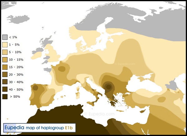 R�partition haplotype E1b