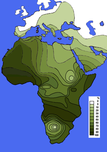 R�partition haplogroupe E